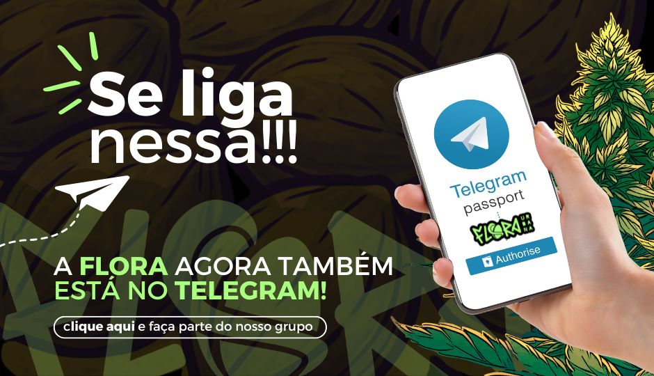 Contate no Telegram