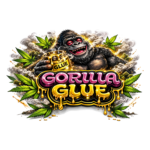 Gorilla Glue