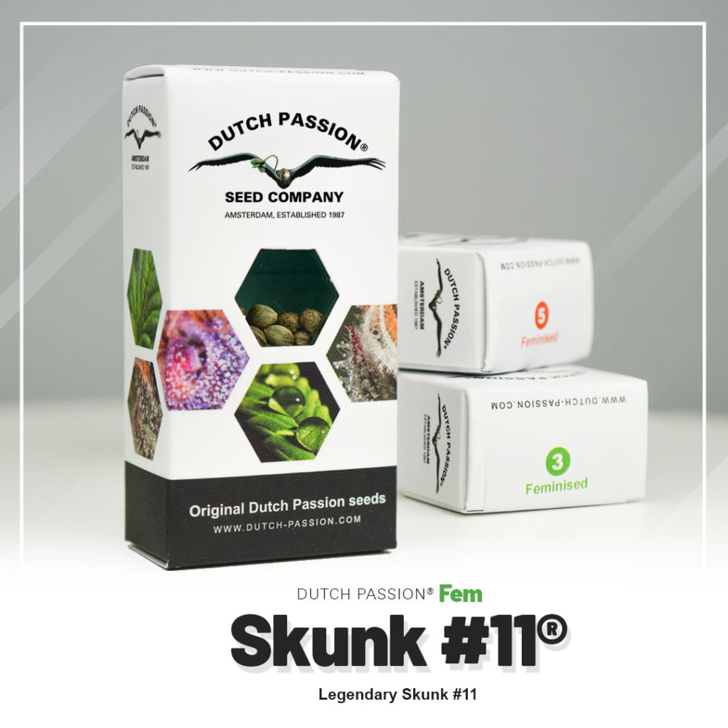 Skunk #11® - Flora Urbana