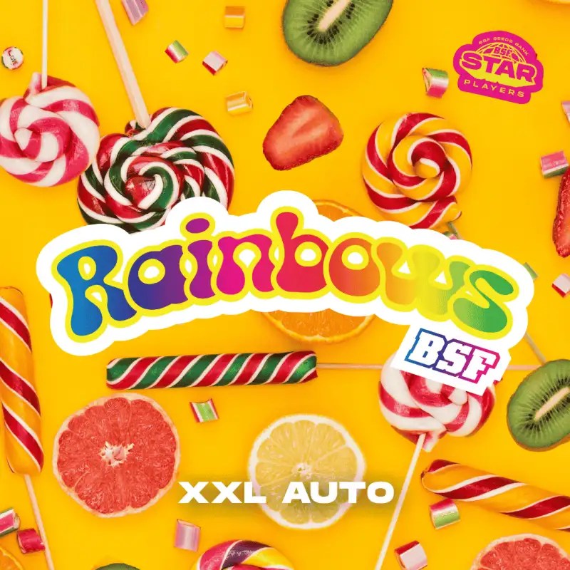 Rainbows XXL Auto
