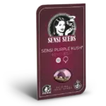 Sensi Purple Kush