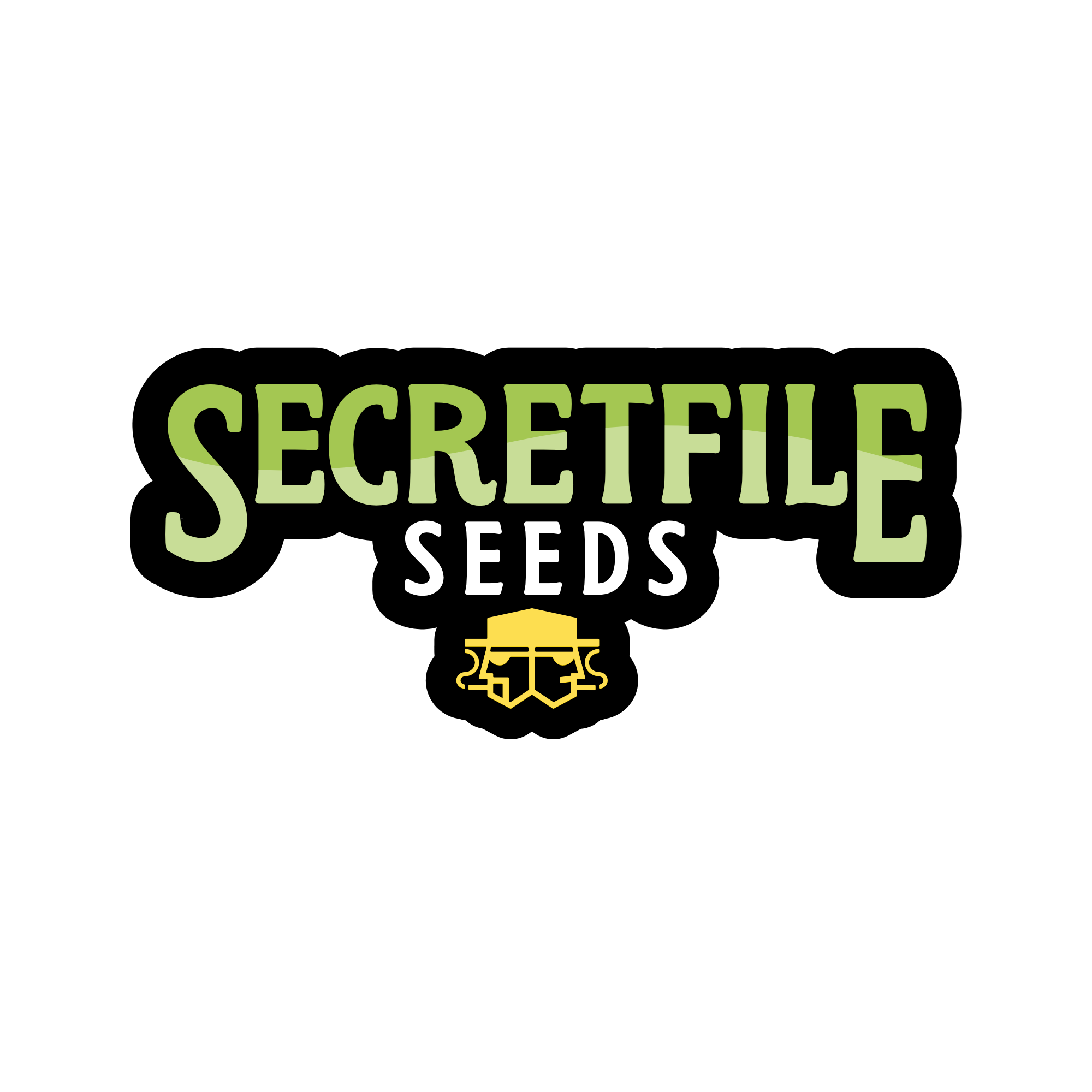 Secret File