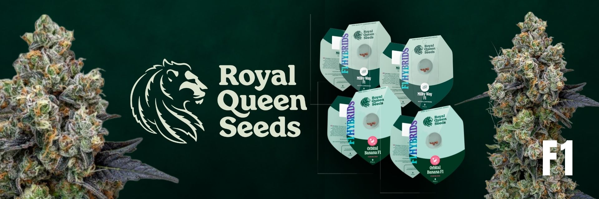 F1 Royal Queen