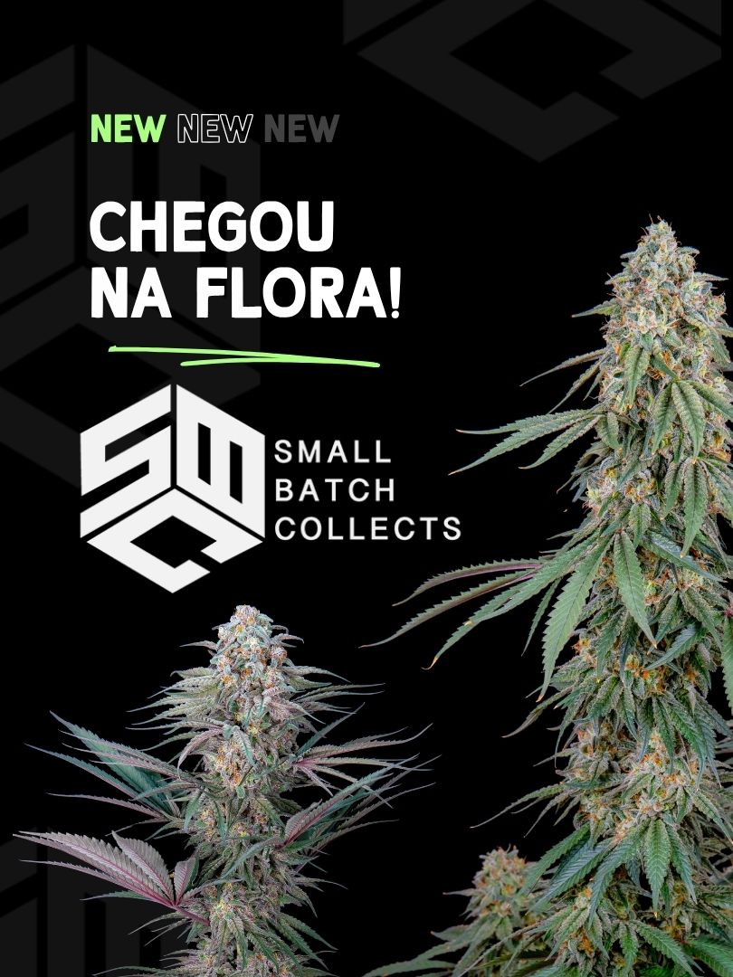 Novidade na Flora