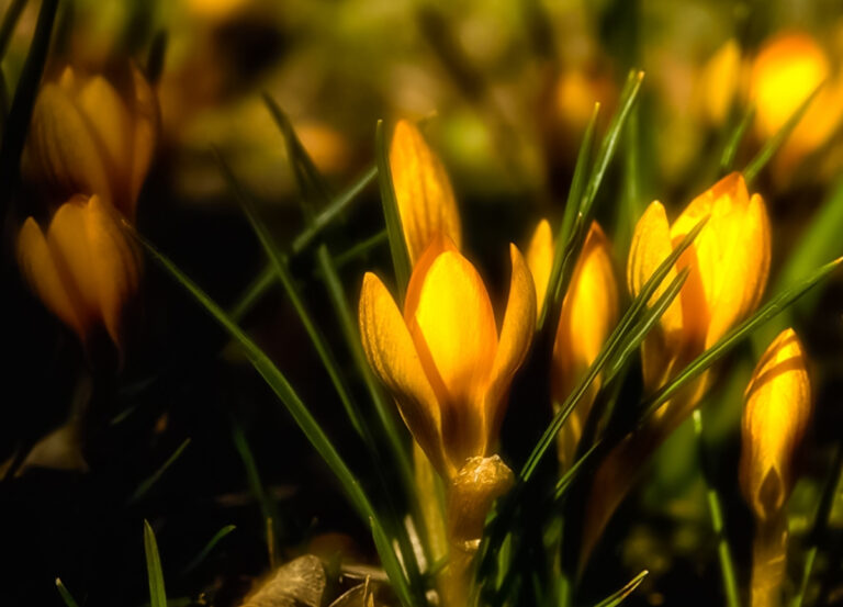 A primavera chegou.